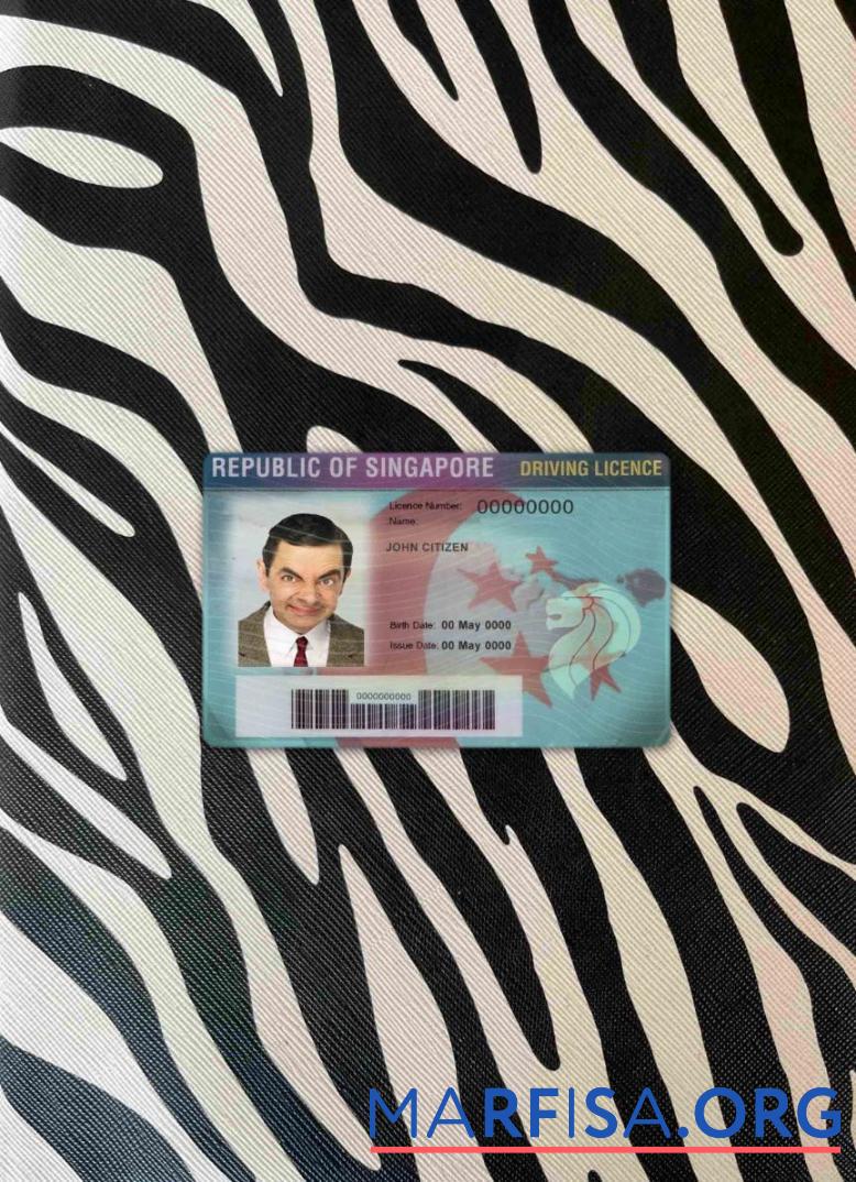 Printable Singapore driving license photolook example